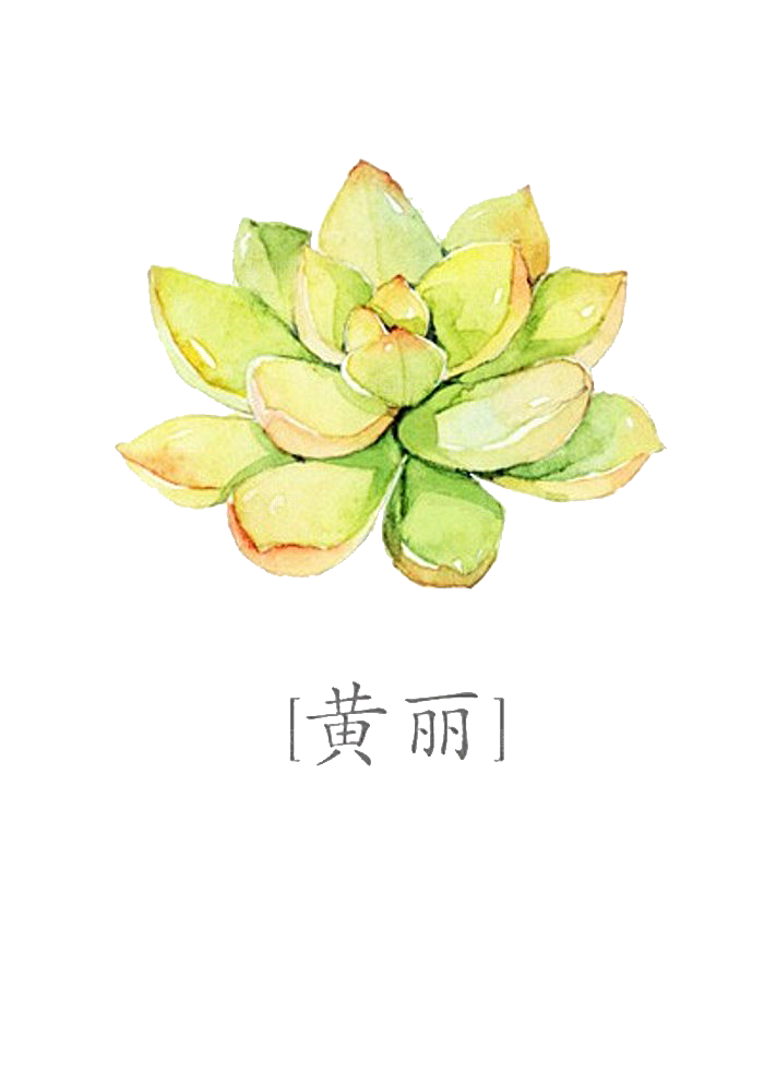手绘卡通水彩多肉植物仙人掌盆栽PNG素材