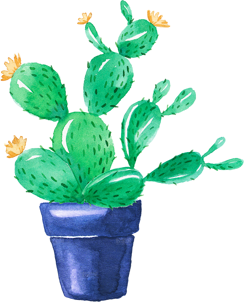 手绘卡通水彩多肉植物仙人掌盆栽PNG