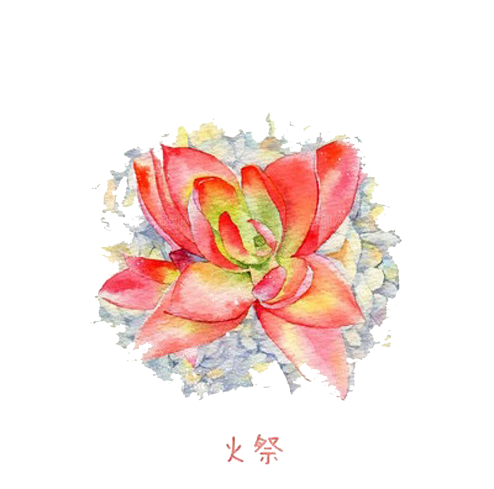 手绘卡通水彩多肉植物仙人掌盆栽PNG