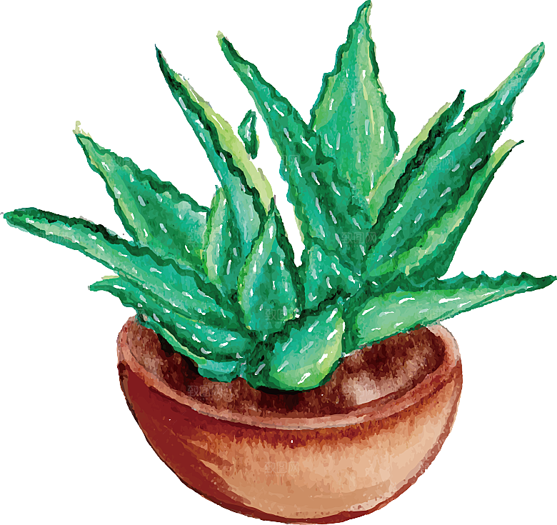 手绘卡通水彩多肉植物仙人掌盆栽PNG素材