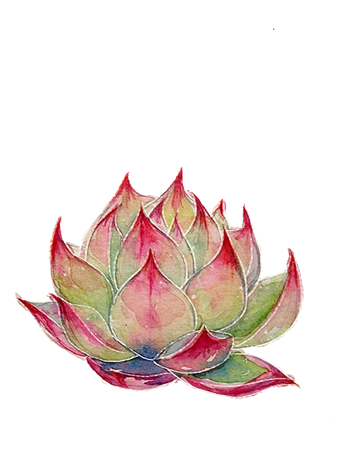 手绘卡通水彩多肉植物仙人掌盆栽PNG素材