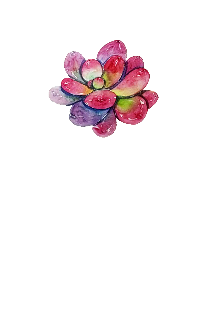 手绘卡通水彩多肉植物仙人掌盆栽PNG