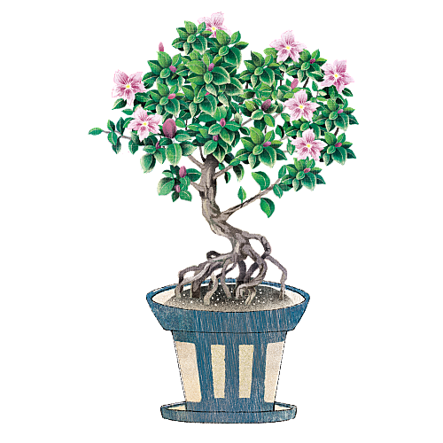 手绘卡通水彩多肉植物仙人掌盆栽PNG