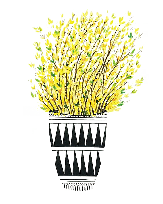 手绘卡通水彩多肉植物仙人掌盆栽PNG