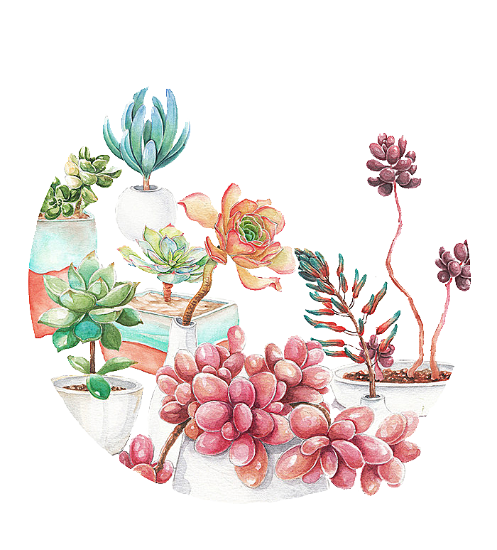 手绘卡通水彩多肉植物仙人掌盆栽PNG