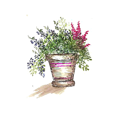 手绘卡通水彩多肉植物仙人掌盆栽PNG