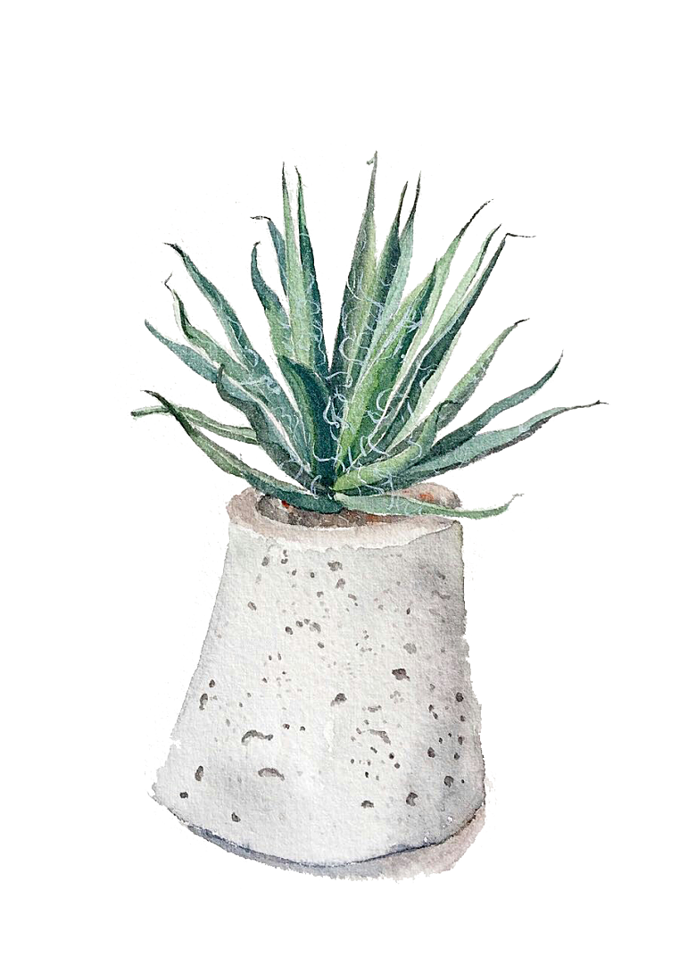 手绘卡通水彩多肉植物仙人掌盆栽PNG