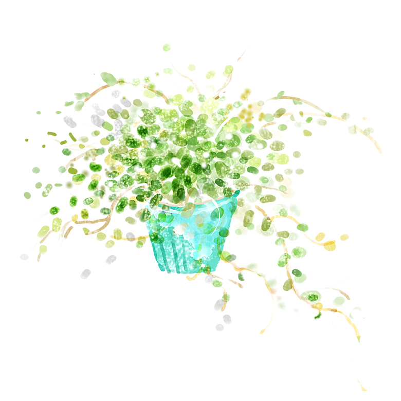 手绘卡通水彩多肉植物仙人掌盆栽PNG