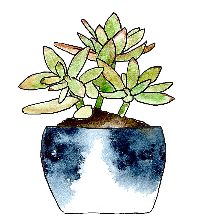 手绘卡通水彩多肉植物仙人掌盆栽PNG
