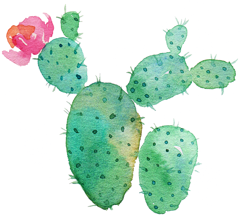 手绘卡通水彩多肉植物仙人掌盆栽PNG
