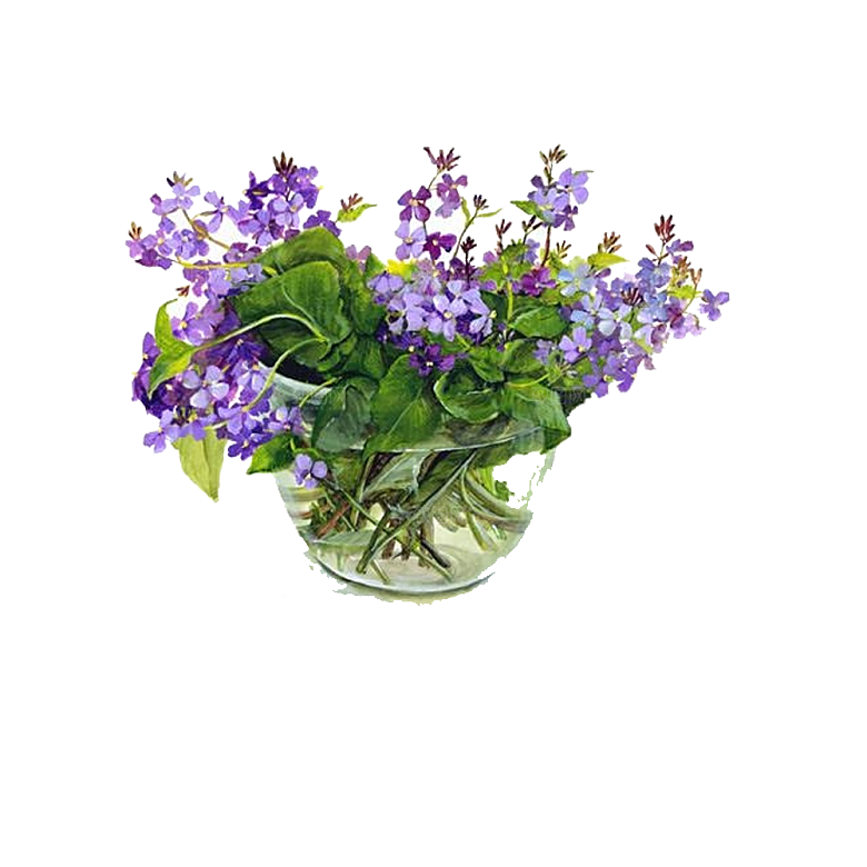 手绘卡通水彩多肉植物仙人掌盆栽PNG