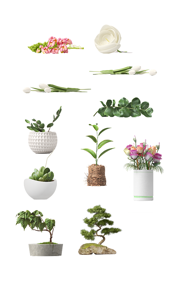 手绘卡通水彩多肉植物仙人掌盆栽PNG图案