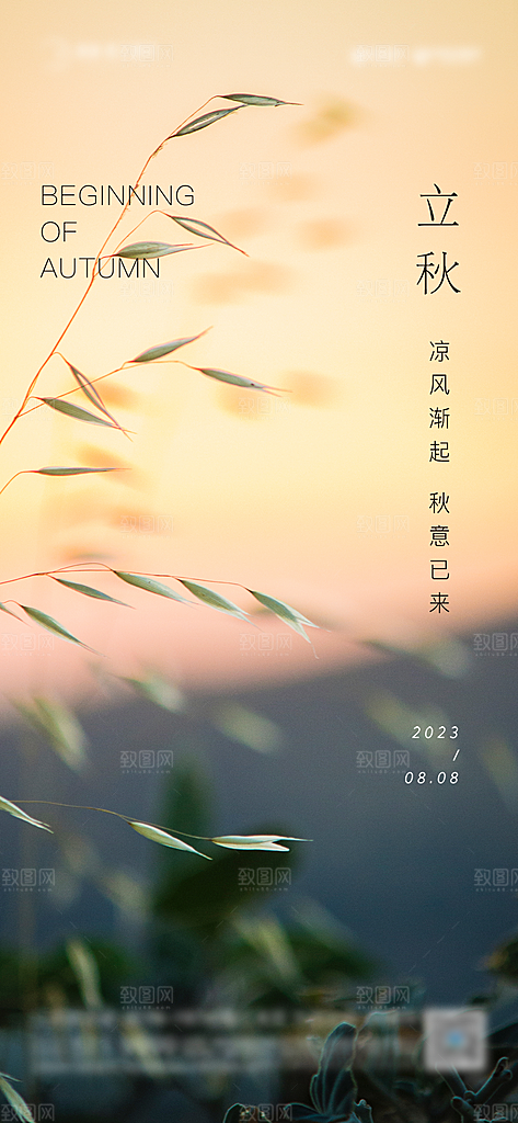 立秋节气简约大气海报