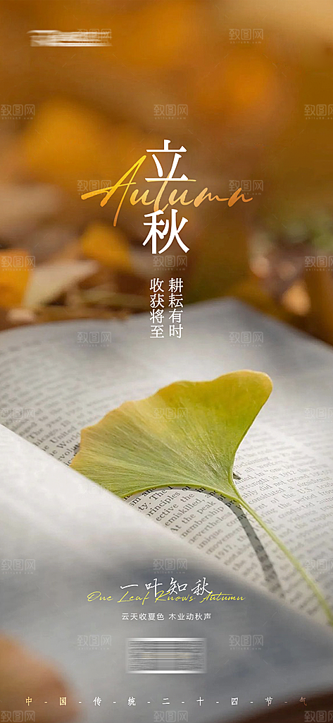 立秋节气简约大气海报
