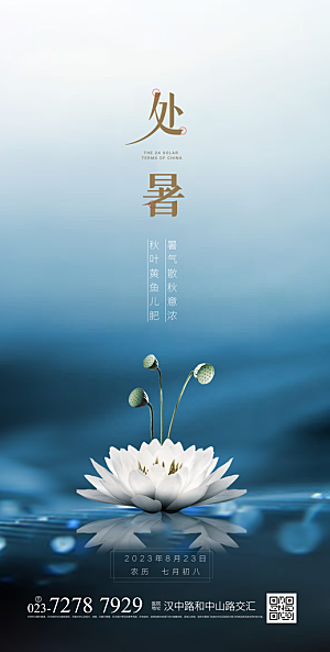 处暑节气简约大气海报