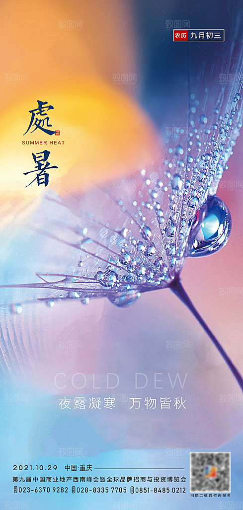 处暑节气简约大气海报