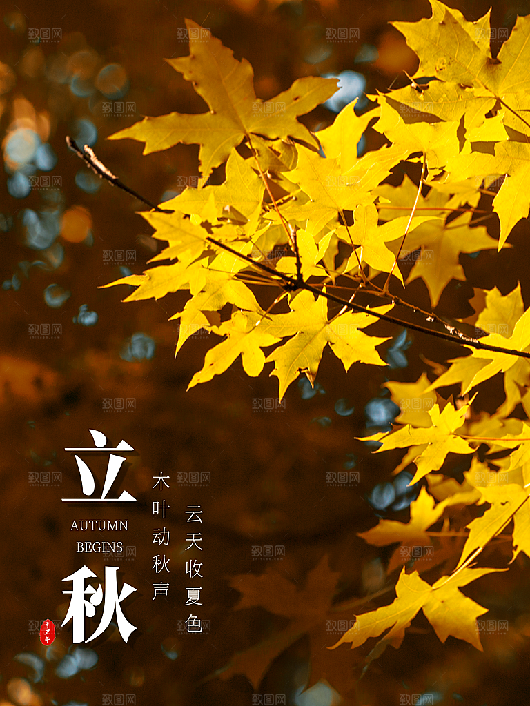 传统二十四节气立秋