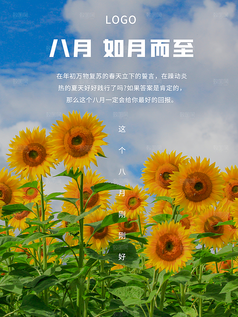 八月你好如月而至