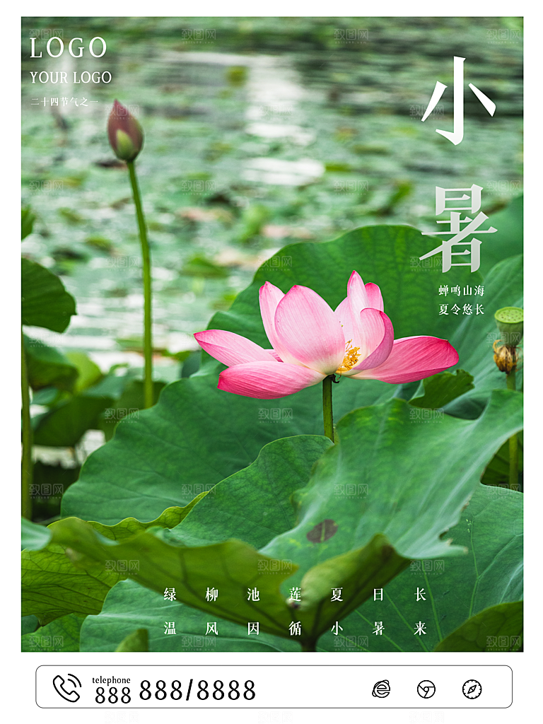 传统二十四节气小暑