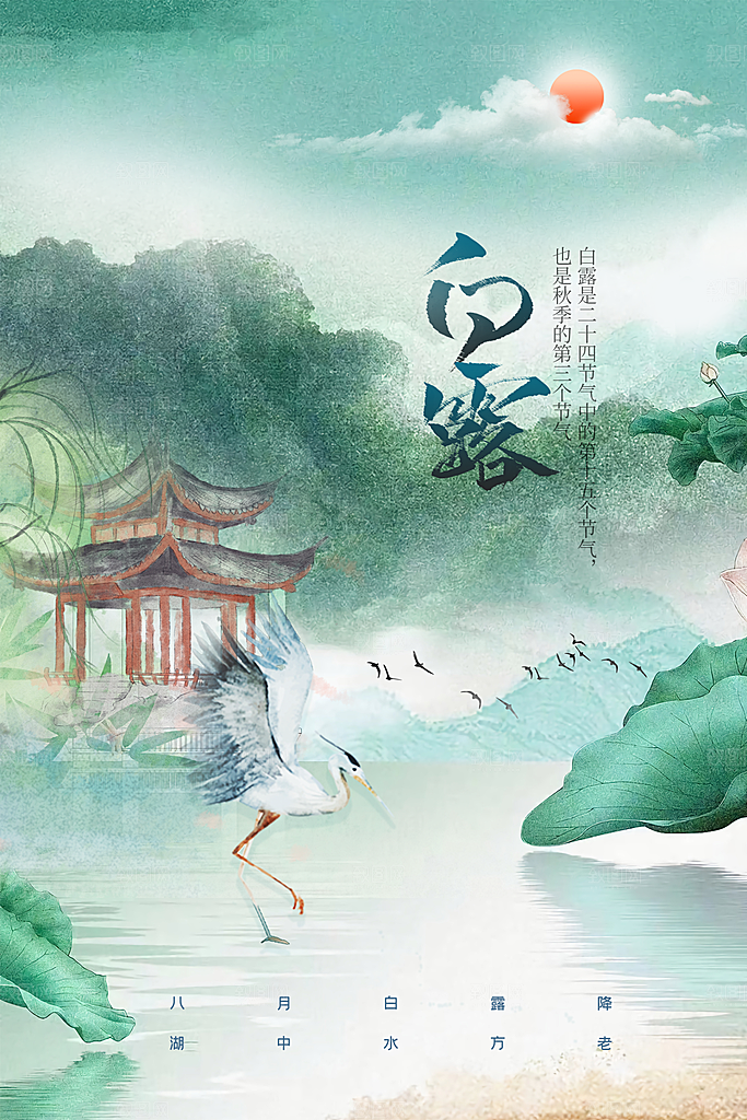 白露节气传统海报
