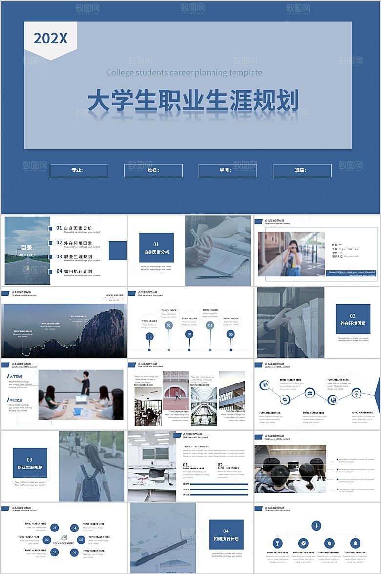 简约沉稳大学生职业生涯规划ppt