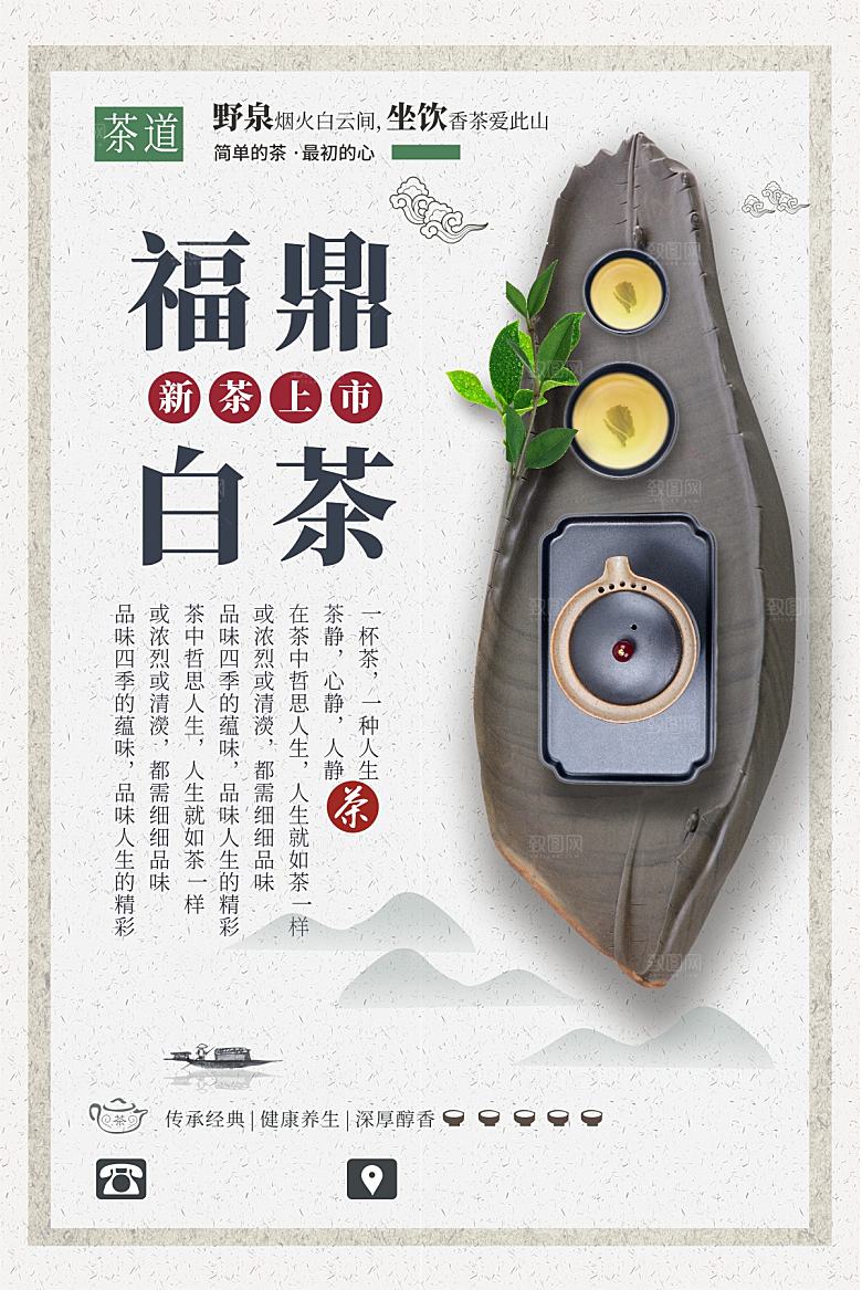 福鼎白茶宣传海报