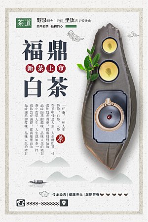 福鼎白茶新茶上市