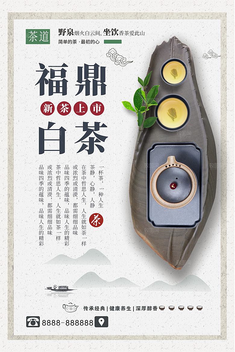 福鼎白茶新茶上市