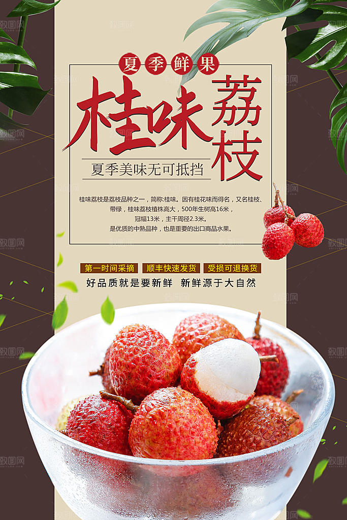 夏季鲜果桂味荔枝