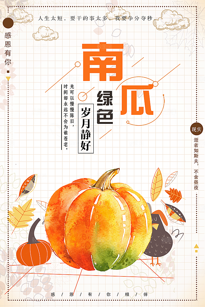 新鲜蔬菜绿色南瓜