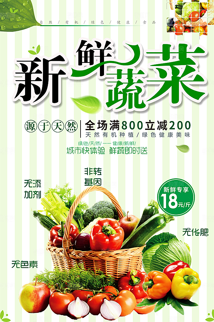 新鲜蔬菜有机营养