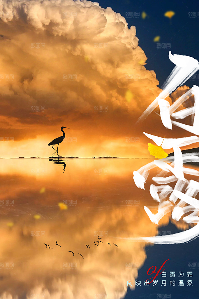 白露节气传统活动海报