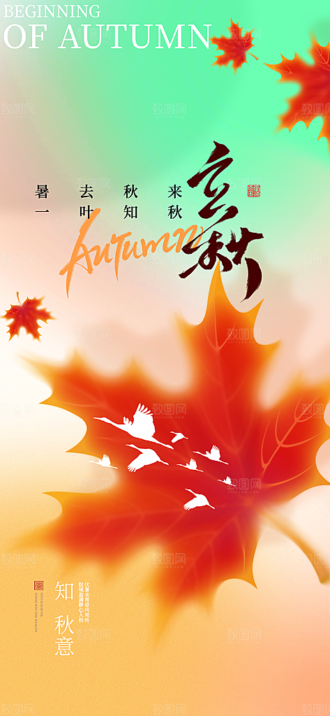 多彩简约立秋节气海报