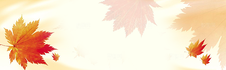 秋天清新唯美落叶插画背景素材