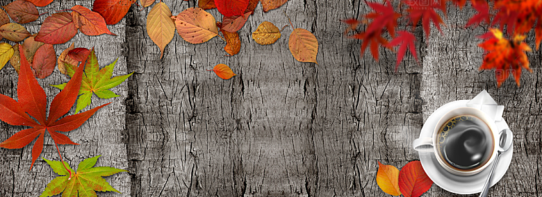 秋天清新唯美落叶插画背景素材