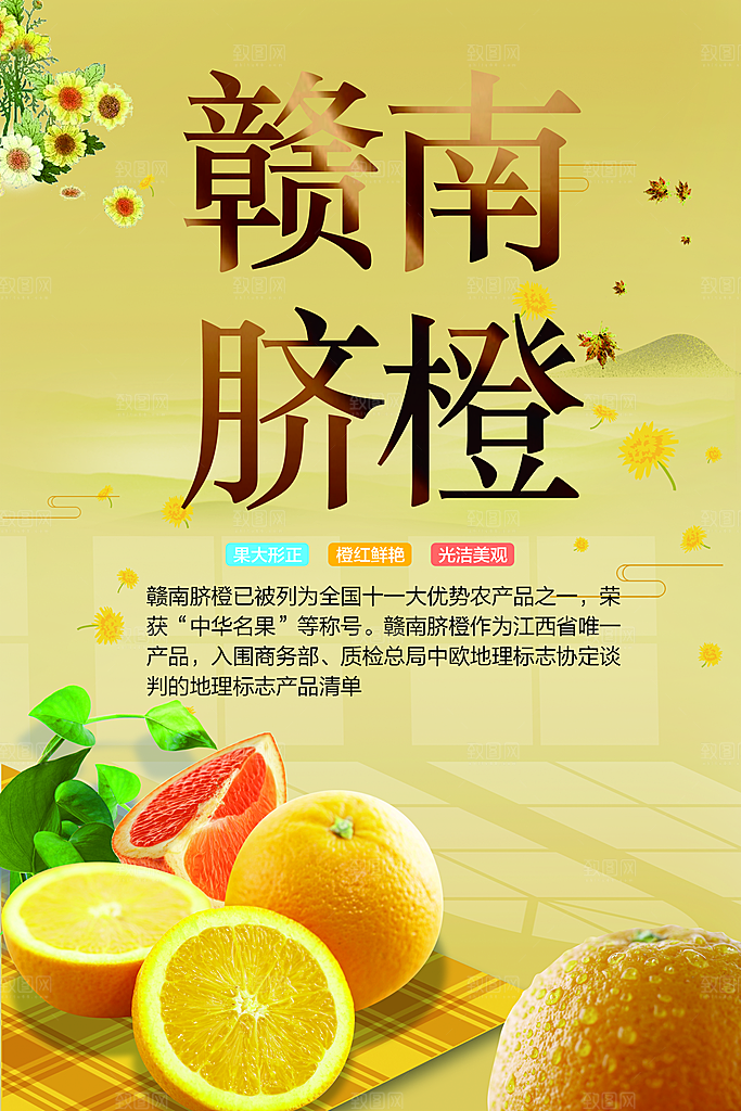 新鲜水果赣南脐橙