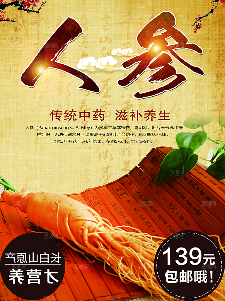 传统中药滋补养生人参