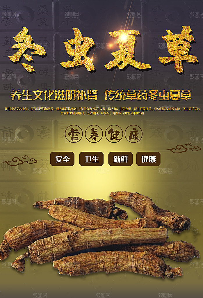 养生珍品冬虫夏草