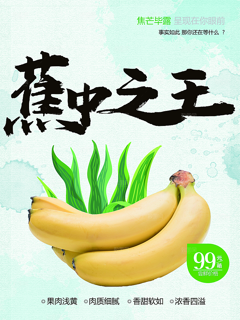 蕉中之王美味香蕉