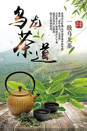 武夷山名茶乌龙茶道