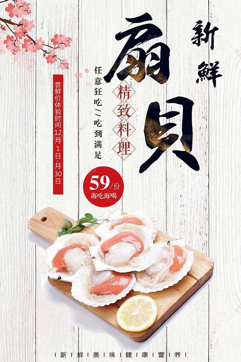 新鲜美味野生扇贝
