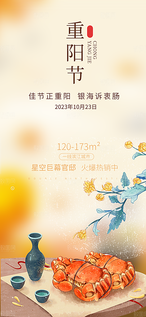 节日重阳节敬老爱老宣传活动海报