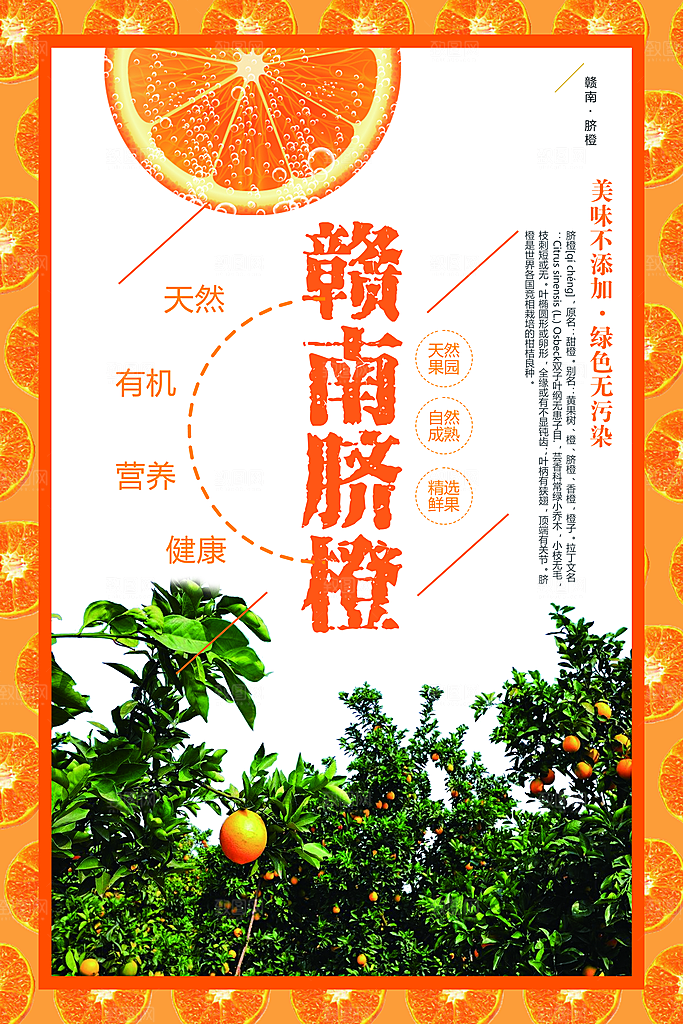 新鲜水果赣南脐橙