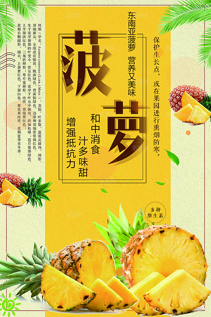 新鲜水果美味菠萝
