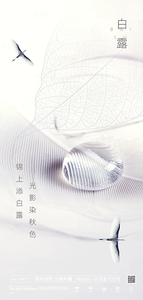 白露节气简约大气海报