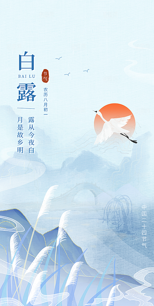 白露节气简约大气海报