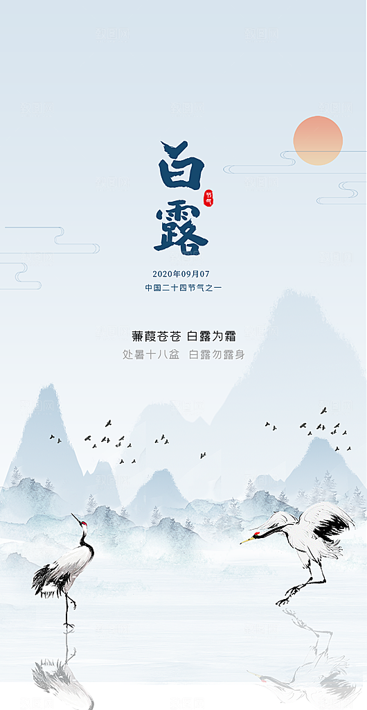 白露节气简约大气海报