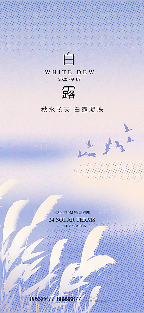白露节气简约大气海报