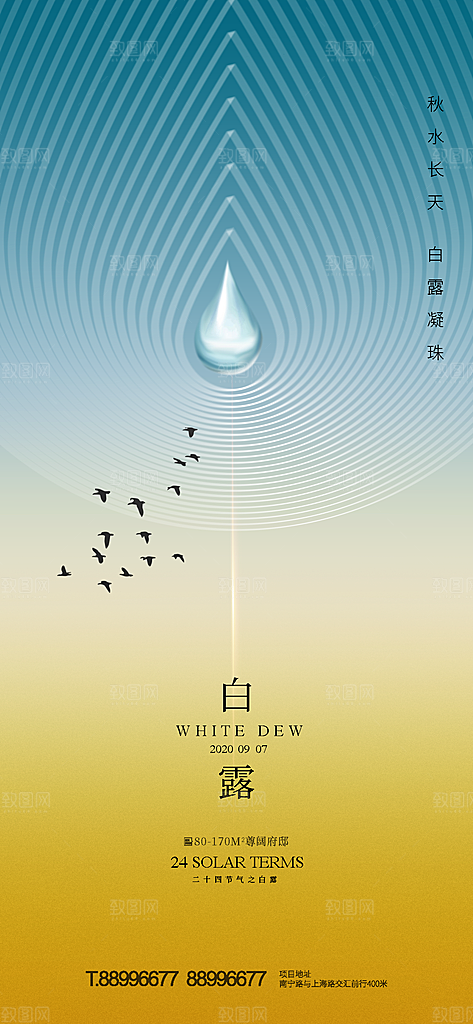 传统节气白露海报模板