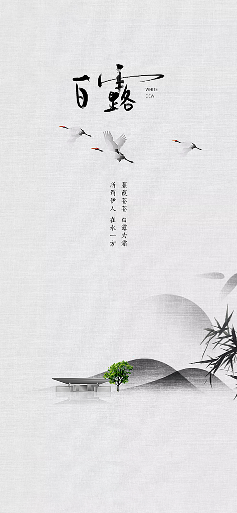 白露节气简约大气海报